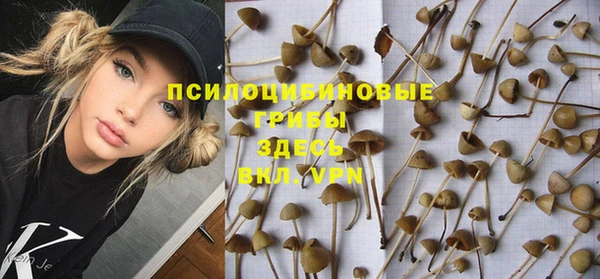 дмт Аркадак