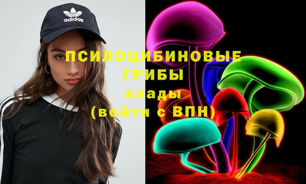 дмт Аркадак
